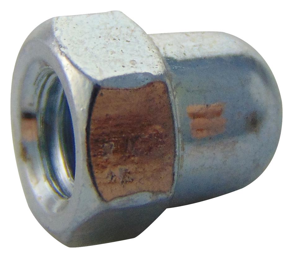 TR Fastenings M5- Dnst-Z100- Dome Nut, Bzp, M5, Pk100