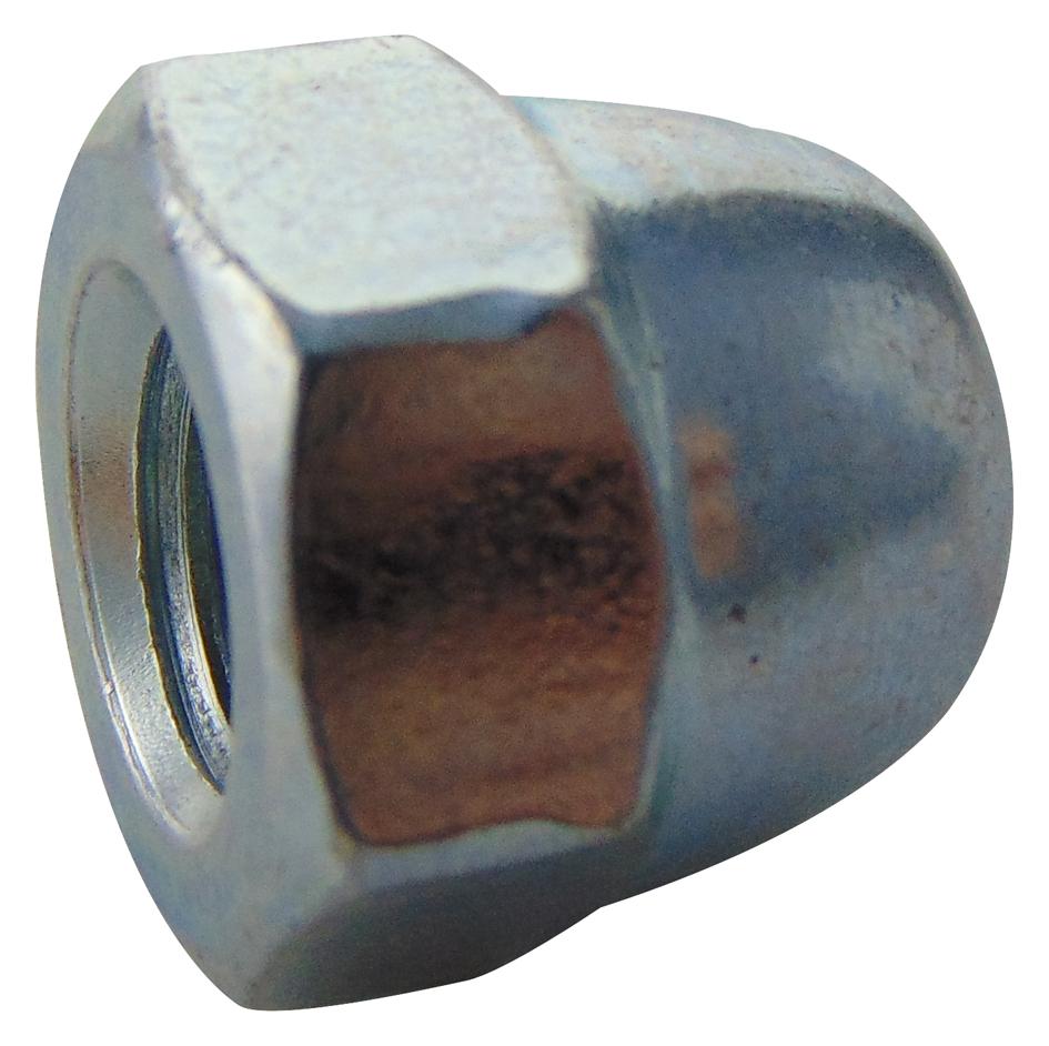 TR Fastenings M10- Dnst-Z50- Dome Nut, Bzp, M10