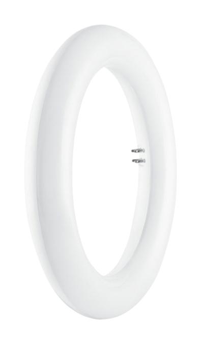 Ledvance 4058075135444 Circular Led Tube, Cool Wht, 1200Lm, 12W