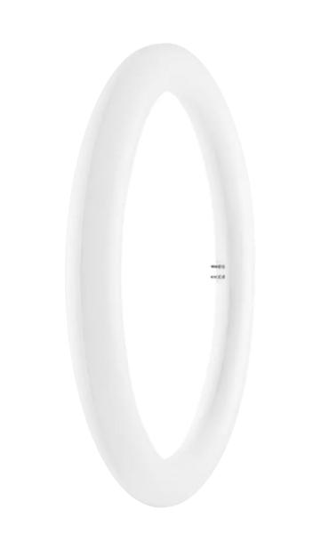 Ledvance 4058075135482 Circular Led Tube, Cool Wht, 2000Lm, 20W