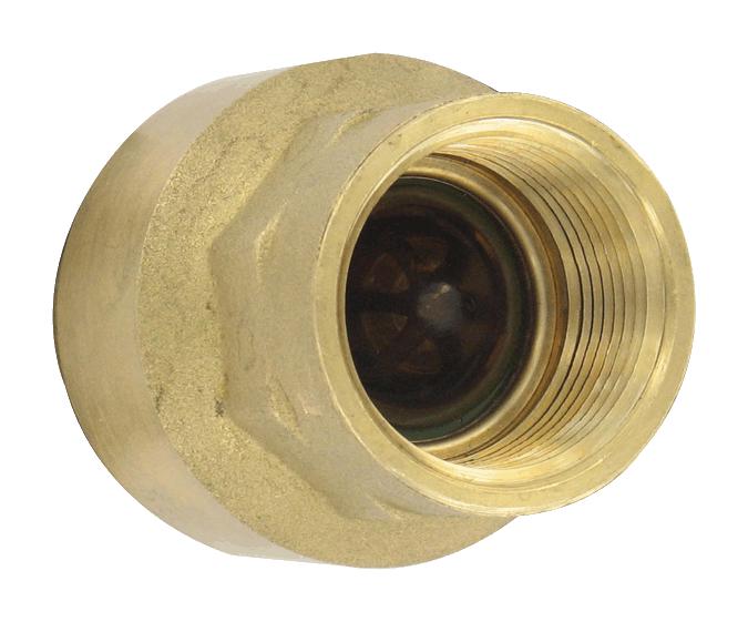 Dwyer Bicv-0F04 Brass Inline Check Valve, 1 Connectorection