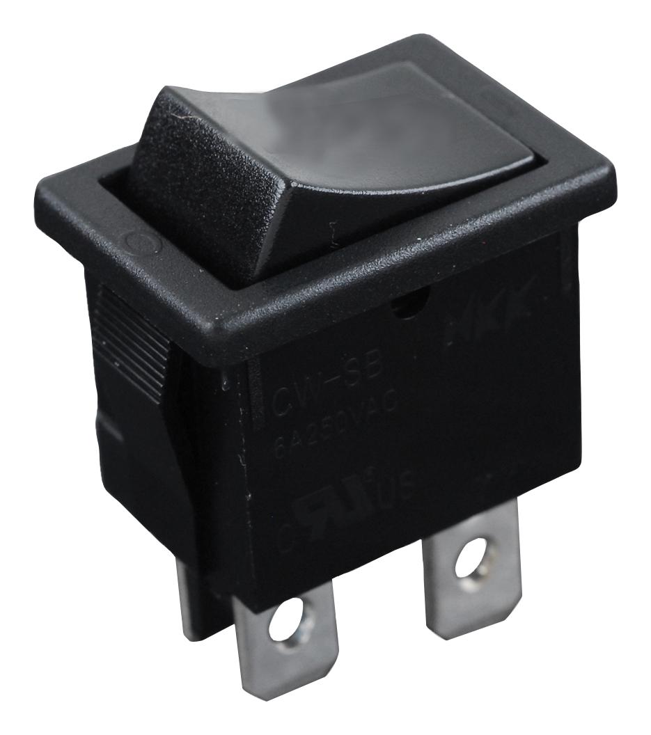 E-Switch R1973Bblkblkef0 Rocker Switch, Dpst, 9A, 125Vac, Panel