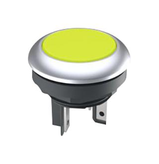 RAFI 1.15.210.121/2400 Lumotast 16, Illuminated Pushbutton