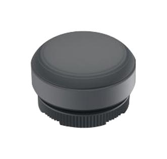 RAFI 1.30.270.005/0101 Pushbutton With Protective Capacitor