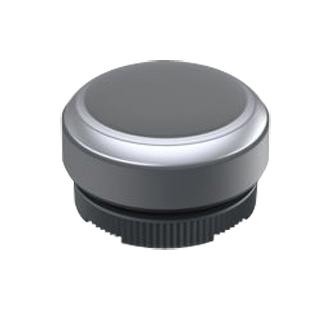 RAFI 1.30.270.005/0108 Pushbutton With Protective Capacitor