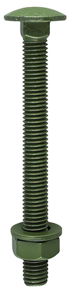 Timco 10100Incb Carriage Bolt Green - M10X100mm (10Pk)