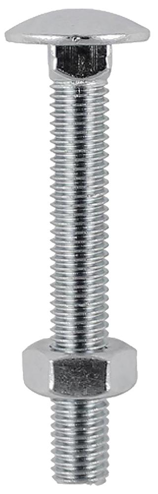 Timco 10100Cbssp Carriage Bolt & Nut Ss - M10 X 100 (2Pk)