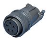 AMPHENOL INDUSTRIAL SG3106E24-53S