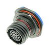 AMPHENOL LTD D38999/24FJ11AN