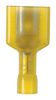 PANDUIT DNF10-250FIMB-D