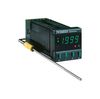 OMEGA CN9131A-230VAC