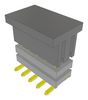 SAMTEC TW-05-09-F-D-190-SM-P-FR