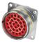 CINCH CONNECTIVITY SOLUTIONS CN0967C22G55SNY240
