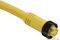 MOLEX / BRAD 1300061163